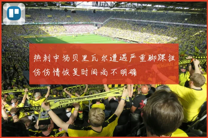 热刺中场贝里瓦尔遭遇严重脚踝扭伤伤情恢复时间尚不明确