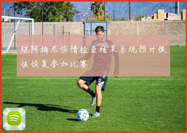 琼阿梅尼伤情检查结果乐观预计很快恢复参加比赛